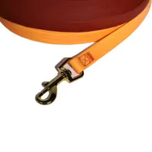 Waterproof Training Lead for Small & Medium Dogs — 1.5cm Width