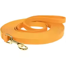 Waterproof Training Lead for Small & Medium Dogs — 1.5cm Width