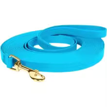 Waterproof Training Lead for Small & Medium Dogs — 1.5cm Width