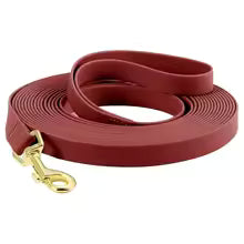 Waterproof Training Lead for Small & Medium Dogs — 1.5cm Width